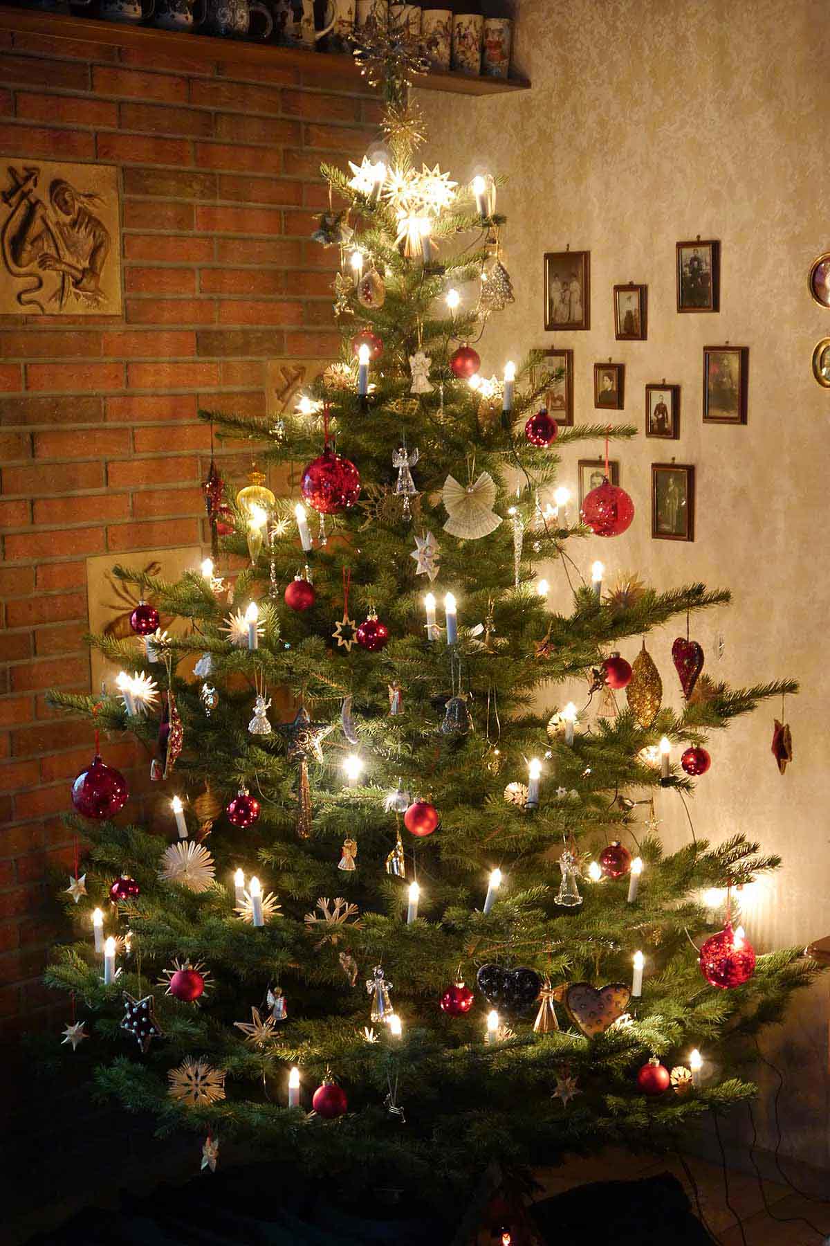 Unser Weihnachtsbaum 2014